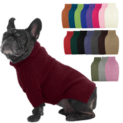 IECOii dog sweater shown from the front with its turtleneck and long sleeves.