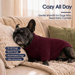IECOii dog sweater detail showing the high turtleneck design.