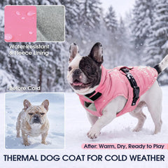 IECOii large dog winter coat showing its fleece lining.