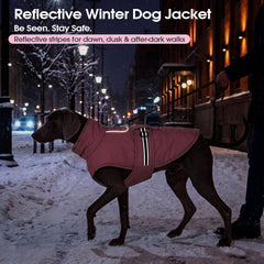 IECOii large dog winter coat with reflective trims visible.