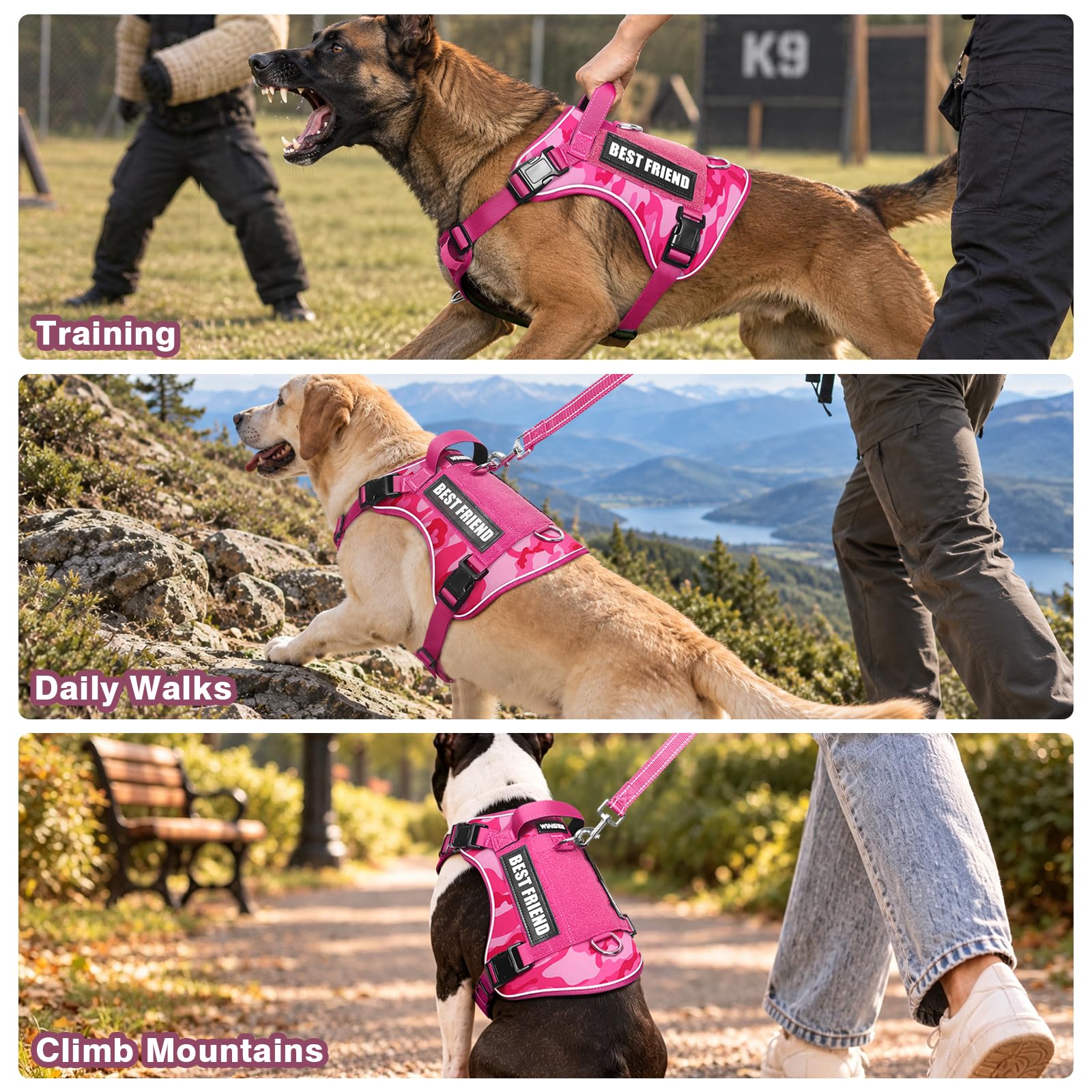 WINSEE No-Pull Tactical Dog Harness Set with Leash, 2 Patches, Reflective Straps