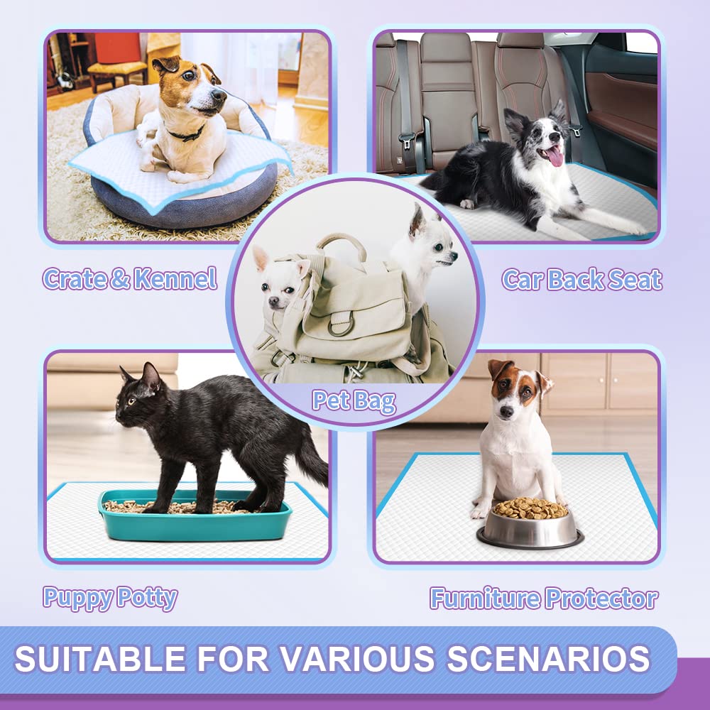 IMMCUTE Puppy Pee Pads placed in a pet crate for potty training.