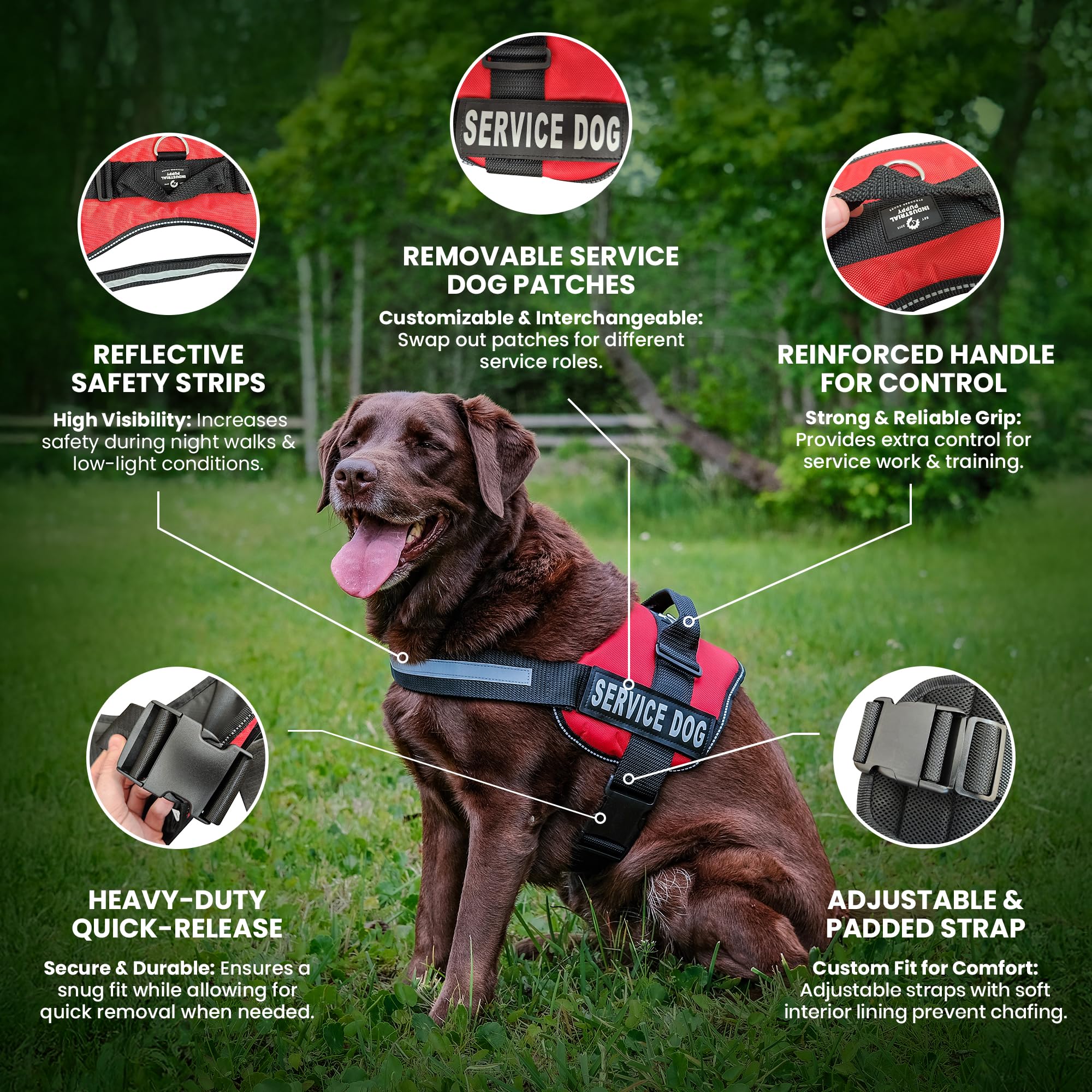 Industrial Puppy Emotional Support Vest Harness with its removable working-dog patches.