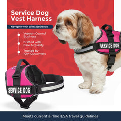 Industrial Puppy service dog vest harness with removable identification patches.