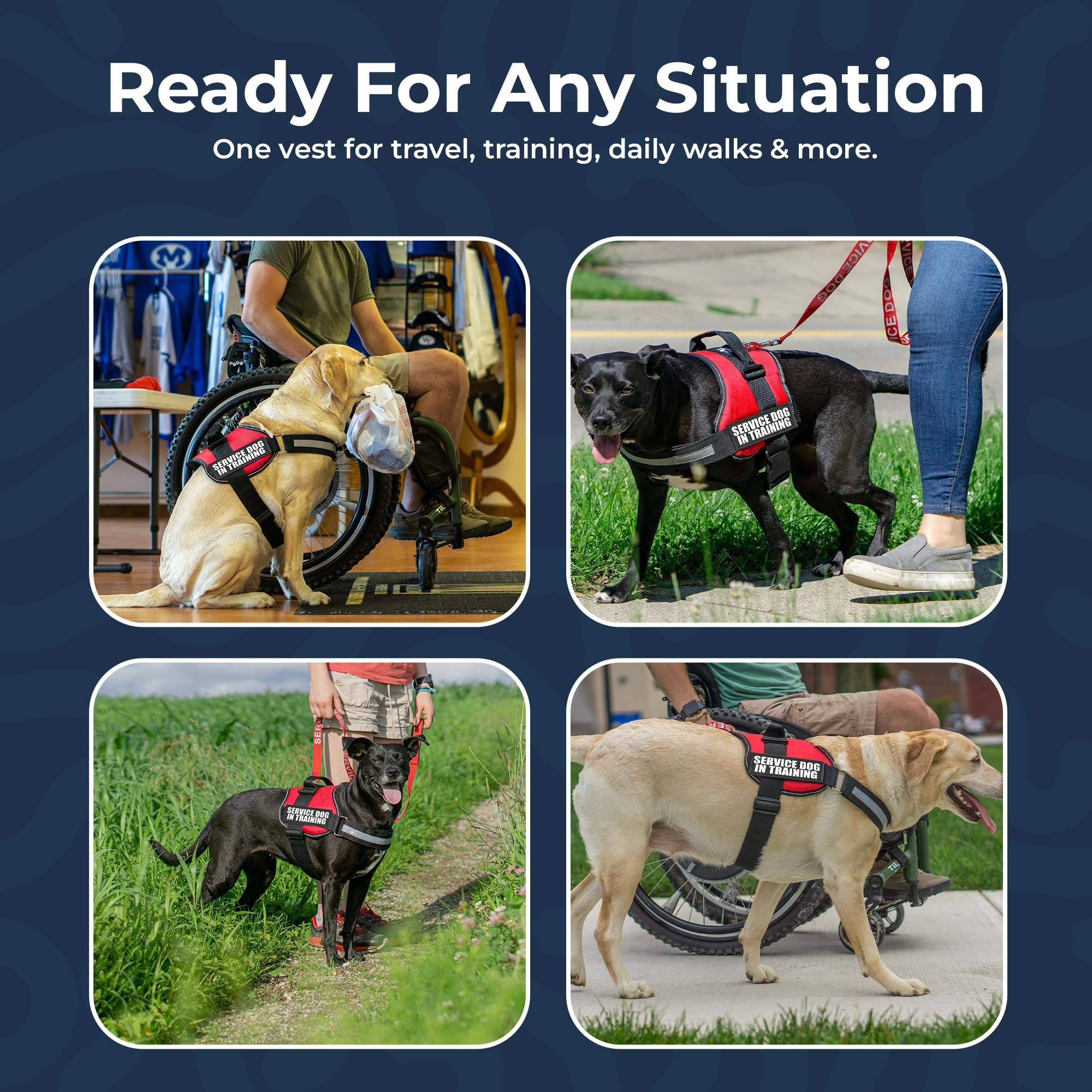 Industrial Puppy service dog training vest harness shown in red.