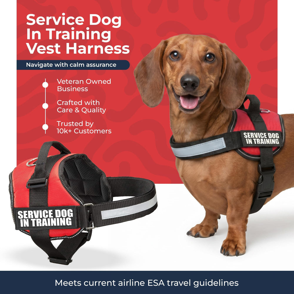 Industrial Puppy service dog training vest harness showing its removable identification patches.