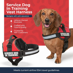 Industrial Puppy service dog training vest harness showing its removable identification patches.