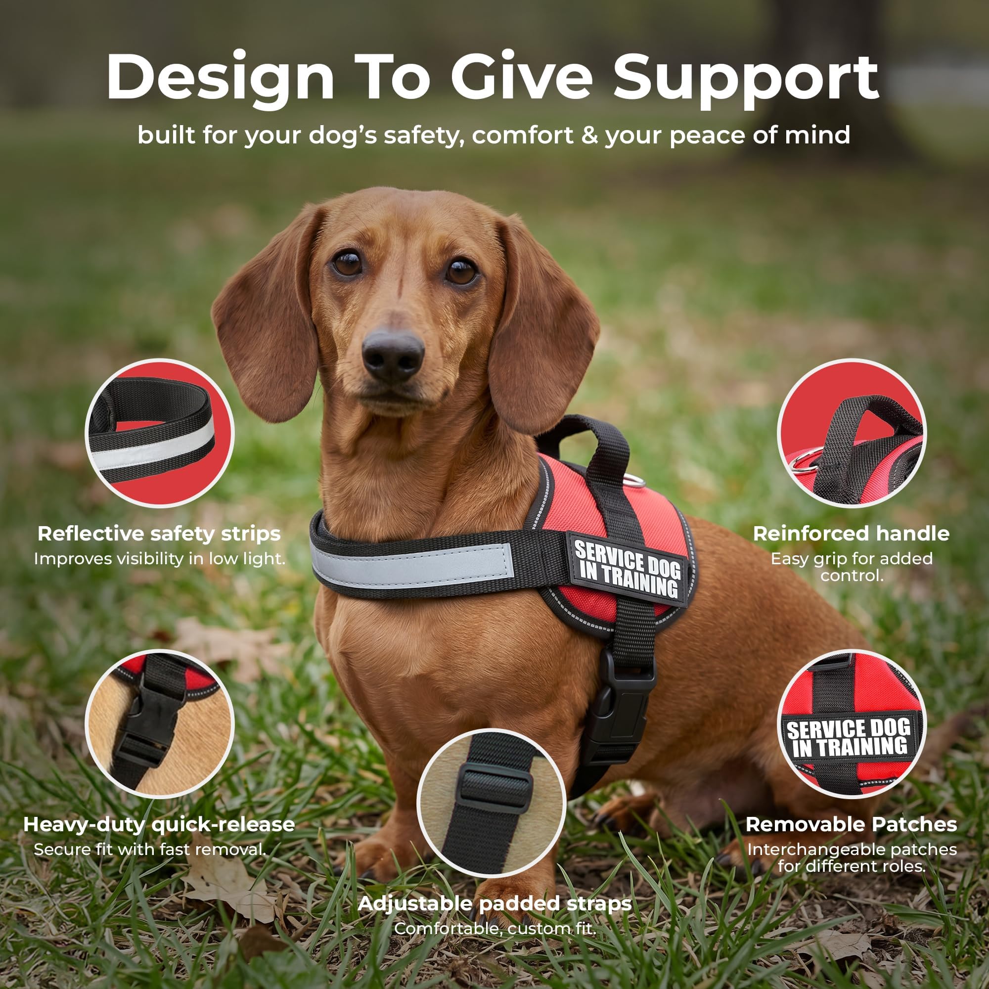 Industrial Puppy service dog training vest harness with a close view of the top handle.
