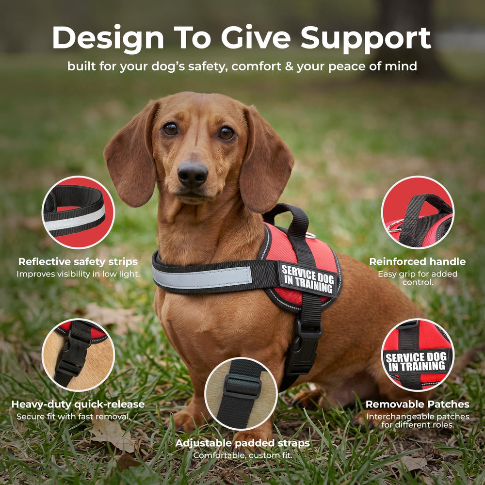 Industrial Puppy service dog training vest harness with a close view of the top handle.