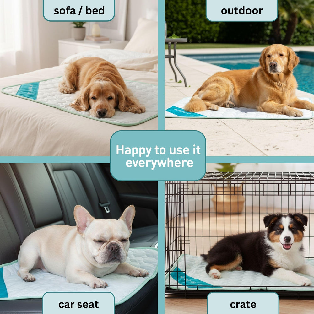 INSPECTOR TAIL Dog Cooling Mat placed in an indoor resting area.
