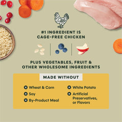 Instinct RawBoost dry dog food package highlighting the brown rice recipe.