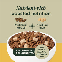 Instinct RawBoost dry dog food FreshDried Raw bites shown up close.