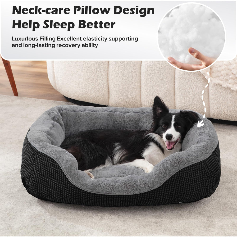 INVENHO small dog bed showing the low front edge for easier access.