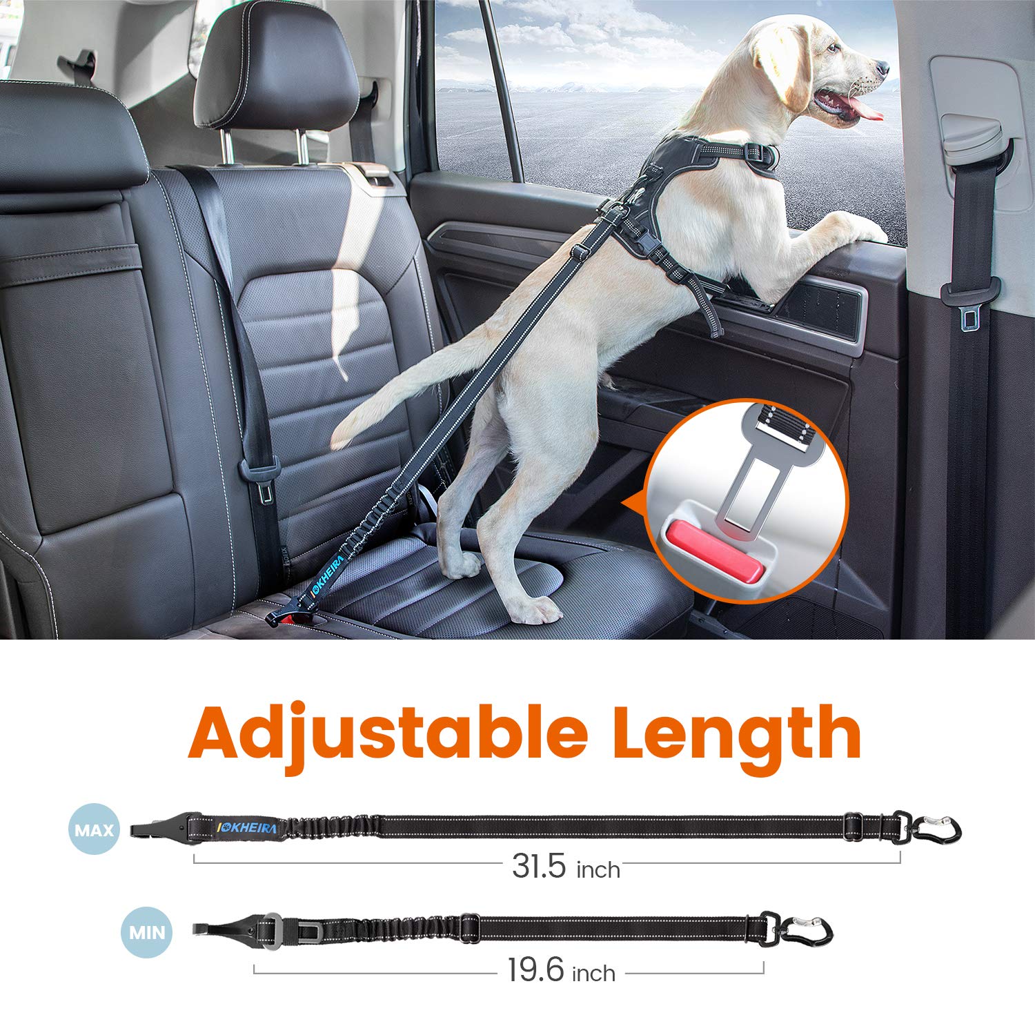 IOKHEIRA dog seat belt detail showing reflective threads in the nylon strap.