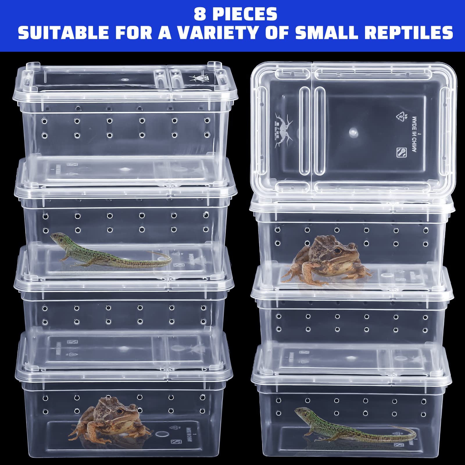 Irenare reptile breeding box used to house a small insect.