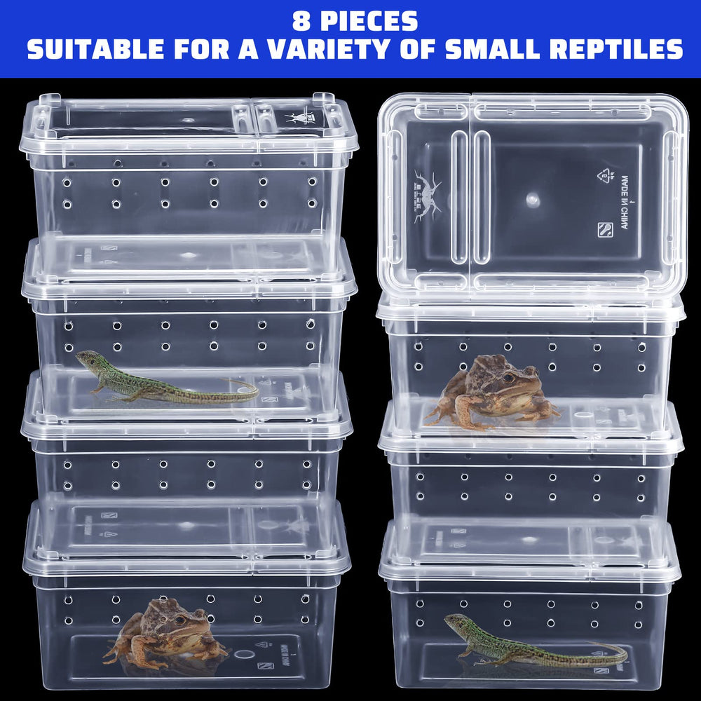 Irenare reptile breeding box used to house a small insect.