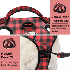 IVY&LANE dog harness with its adjustable webbing straps.