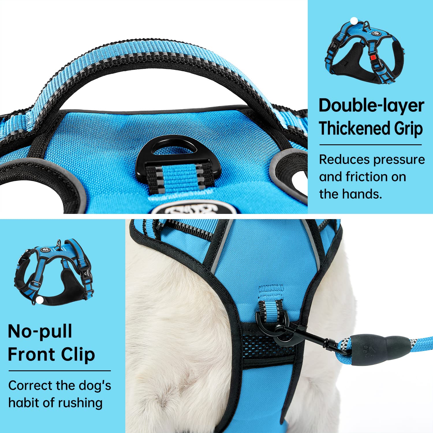 IVY&LANE dog harness back clip attachment point.