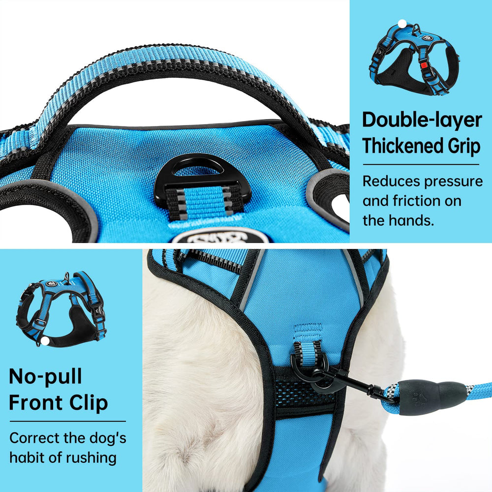 IVY&LANE dog harness back clip attachment point.