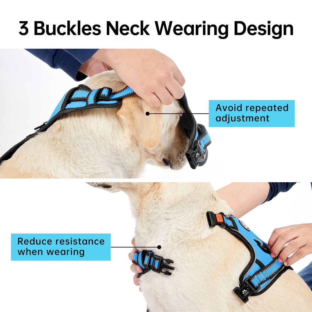 IVY&LANE dog harness front alloy clip attachment detail.