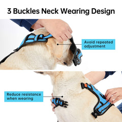 IVY&LANE dog harness front alloy clip attachment detail.