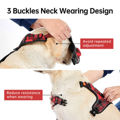 IVY&LANE dog harness showing its front and back clips.