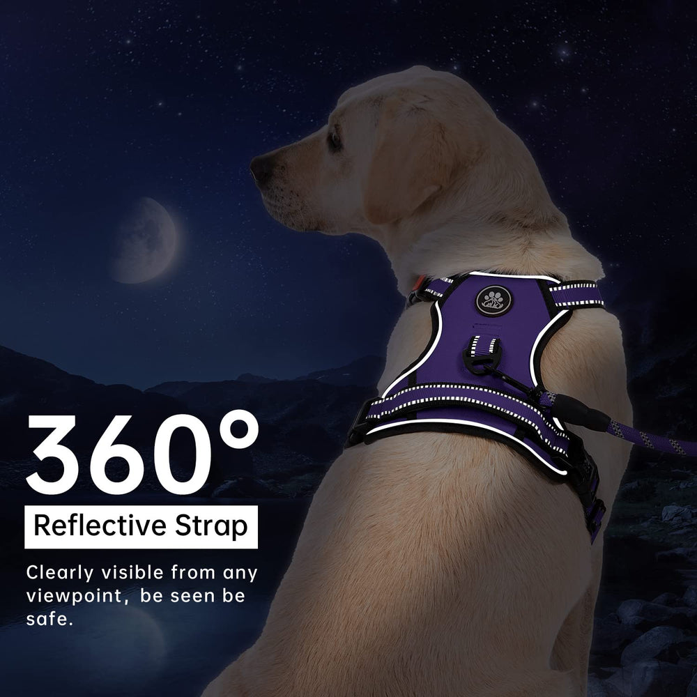 IVY&LANE dog harness set with leash and retractable seatbelt.