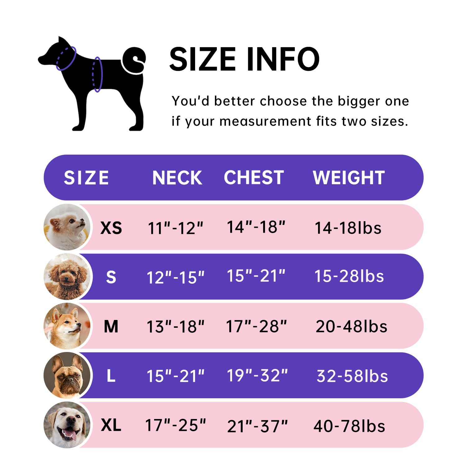 IVY&LANE dog harness neck-side buckles and lockable button.