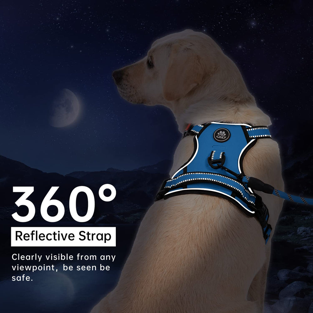 IVY&LANE dog harness reflective strips shown with the reflective leash.