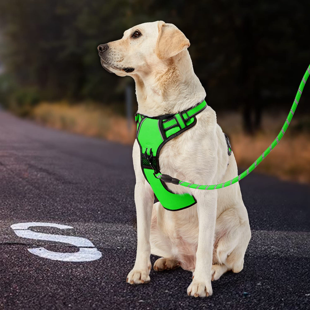 IVY&LANE dog harness shown worn by a dog.