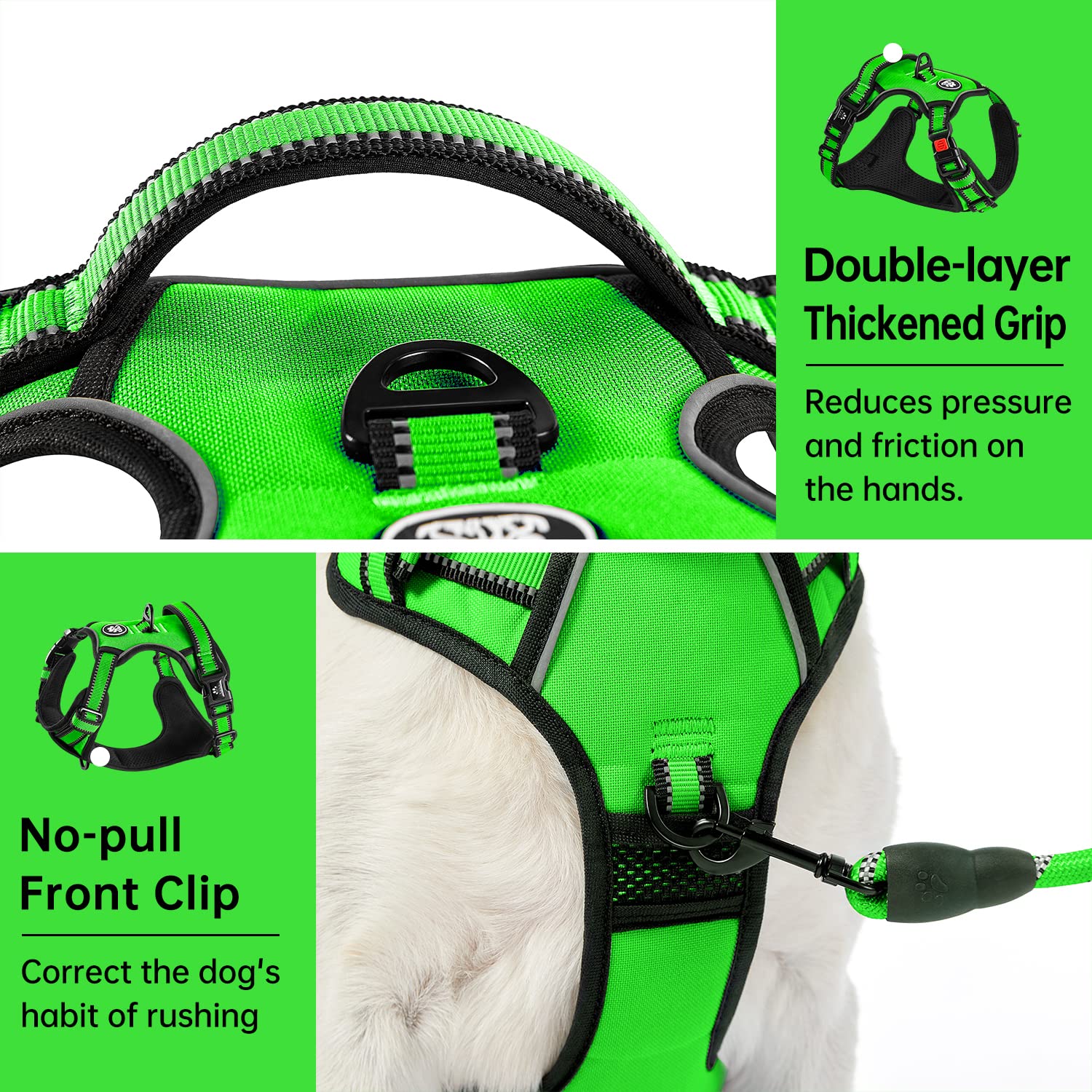 IVY&LANE dog leash with its reflective strip shown close-up.