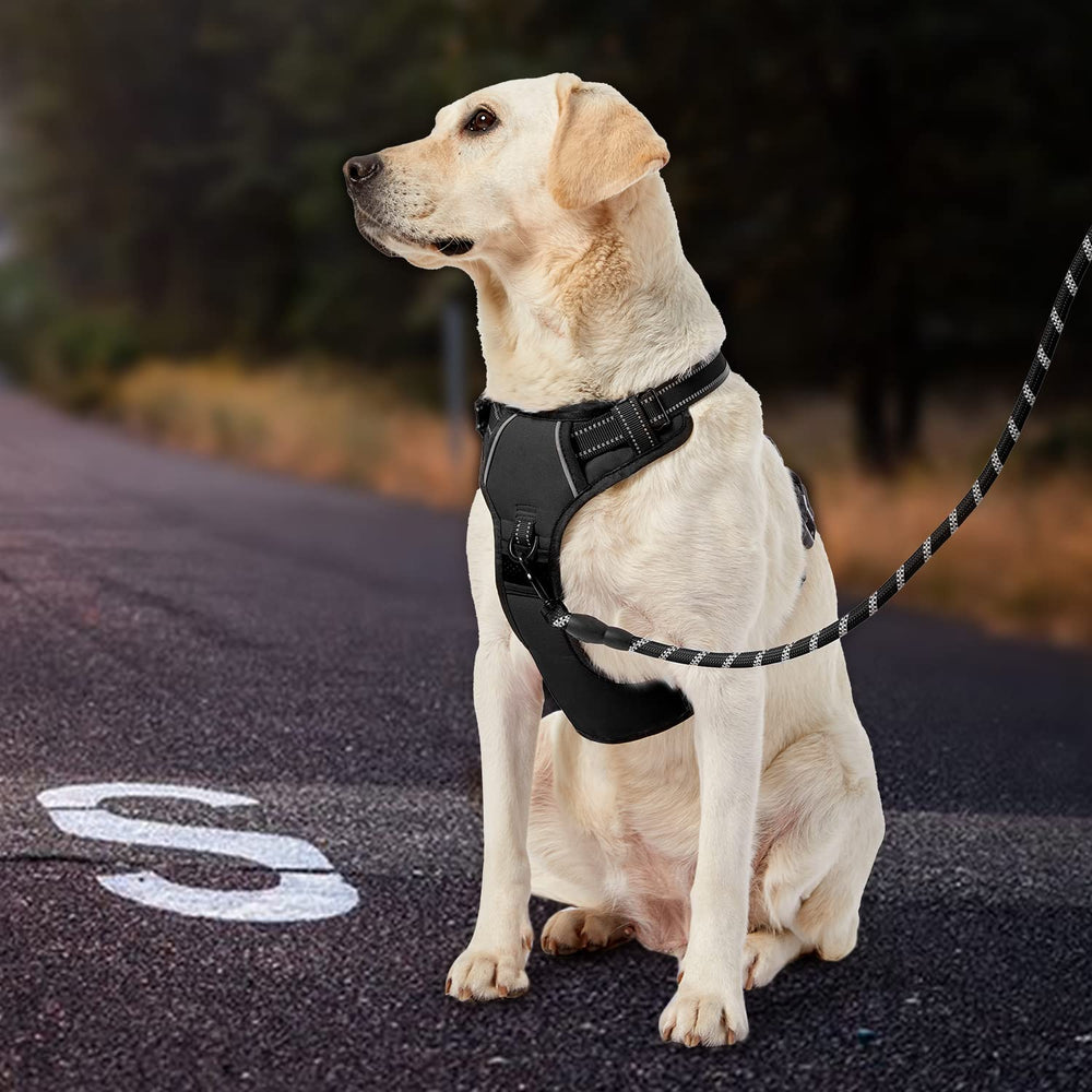 IVY&LANE dog harness set with leash, retractable seatbelt and storage strap.