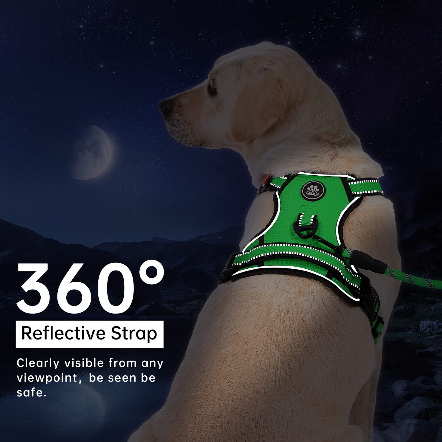 IVY&LANE dog harness set with leash, retractable seatbelt and storage strap.