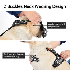 IVY&LANE large dog harness showing its adjustable webbing.
