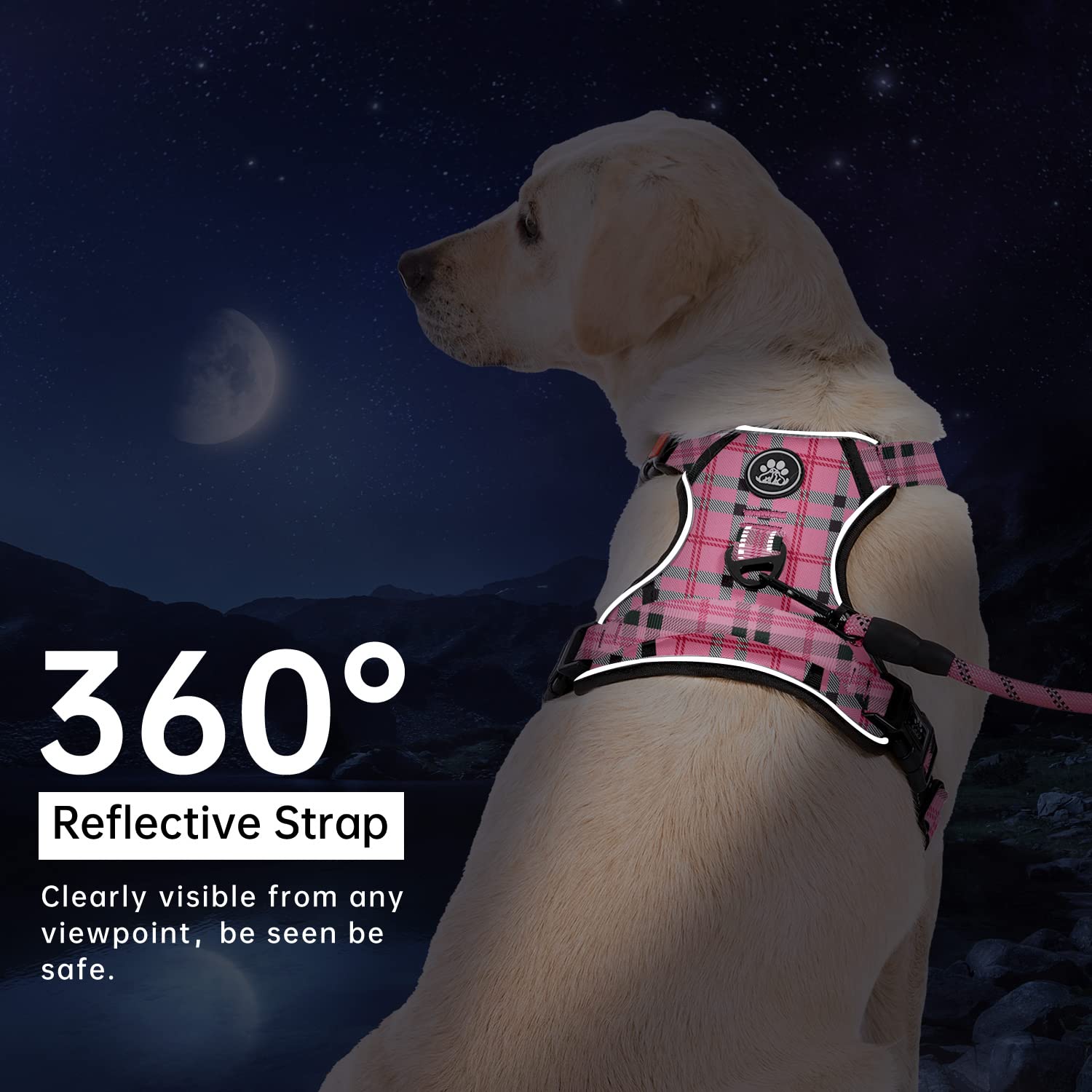 IVY&LANE large dog harness set leash with its cushioned grip.