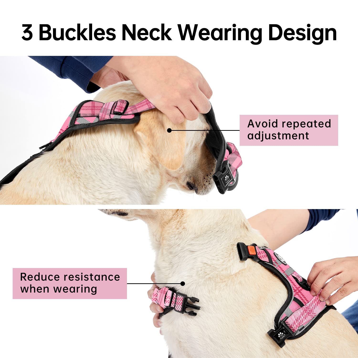 IVY&LANE large dog harness with its front and back metal leash hooks.