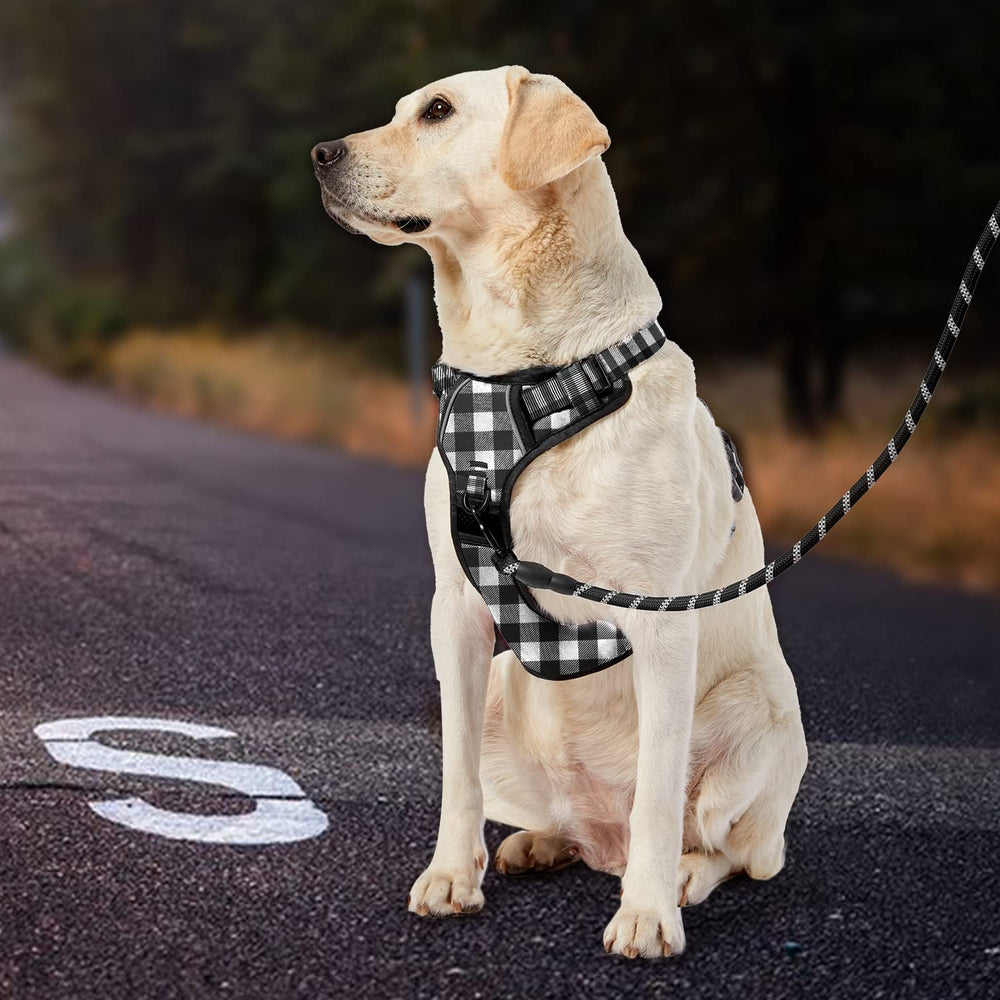 IVY&LANE large dog harness set with leash, retractable seatbelt and storage strap.