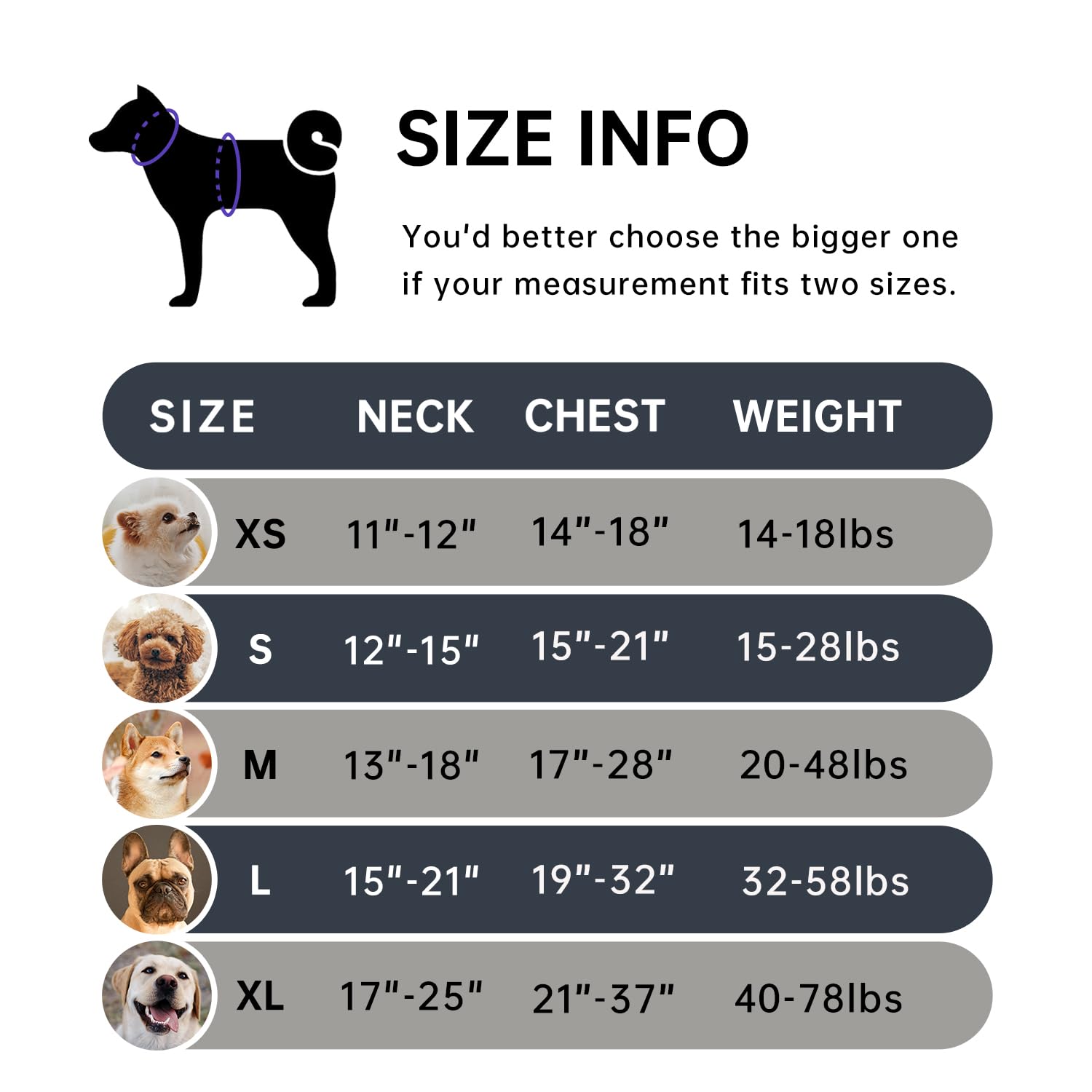 IVY&LANE large dog harness shown from a side angle.