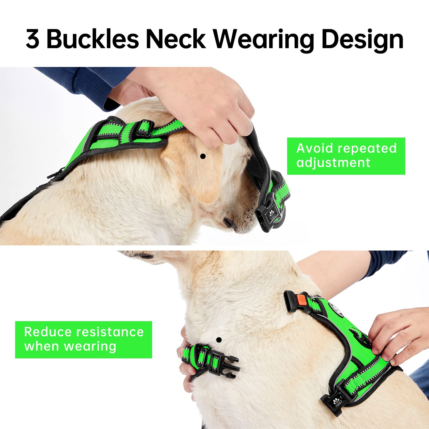 IVY&LANE dog harness lockable neck buckle shown in detail.