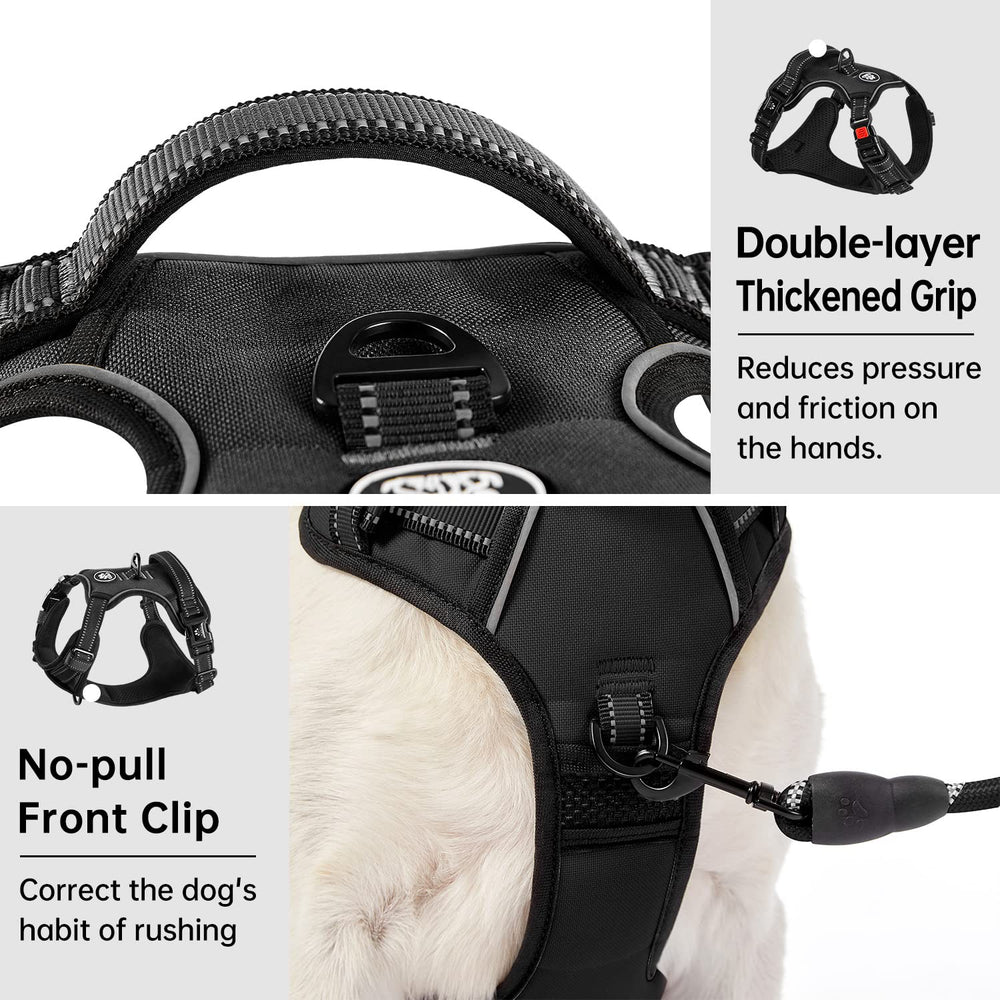 IVY&LANE medium dog harness shown fitted on a dog.