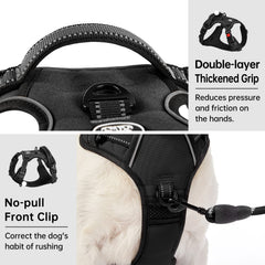 IVY&LANE medium dog harness shown fitted on a dog.