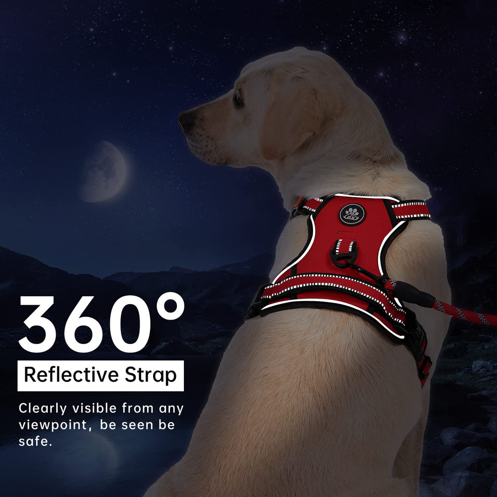 IVY&LANE No Pull Dog Harness adjustable webbing straps.
