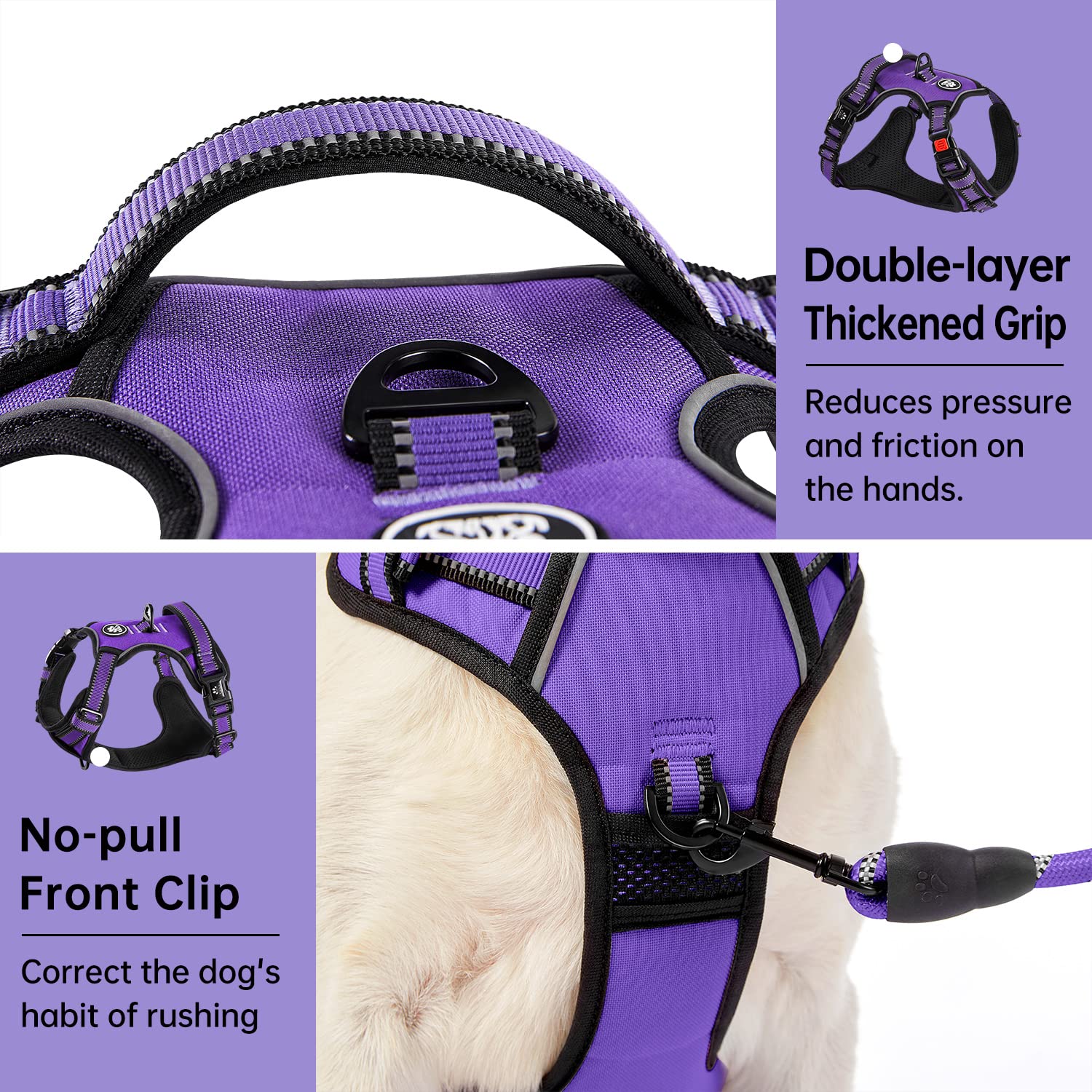 IVY&LANE dog harness detail showing the adjustable webbing.