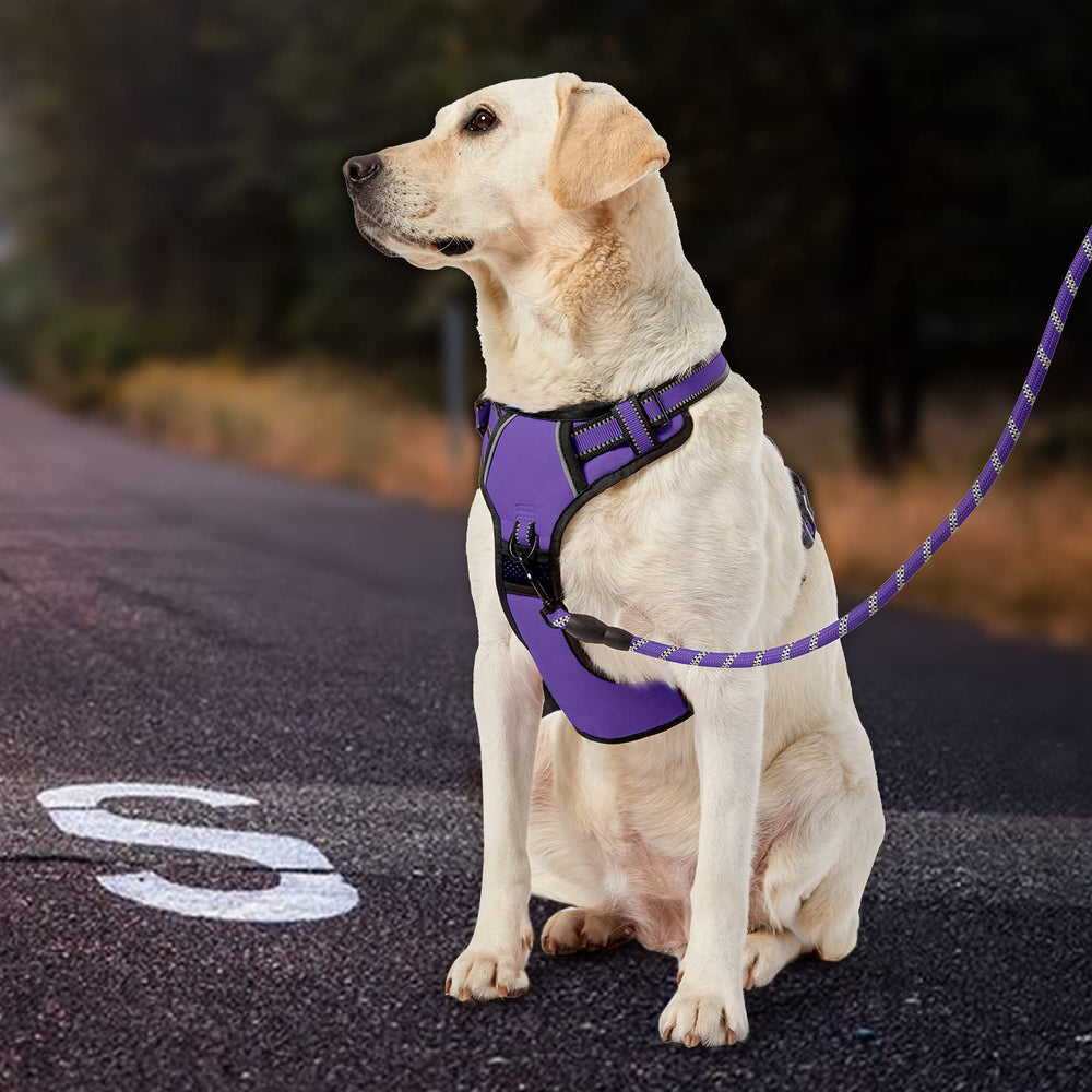 IVY&LANE dog harness shown from the back with its vest-style design.