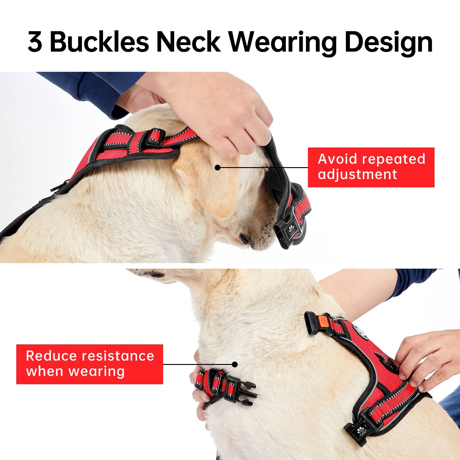 IVY&LANE No Pull Dog Harness front and back leash clips.