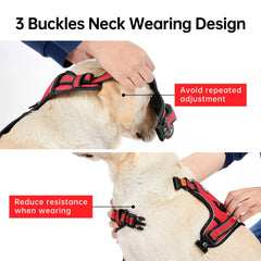 IVY&LANE No Pull Dog Harness front and back leash clips.