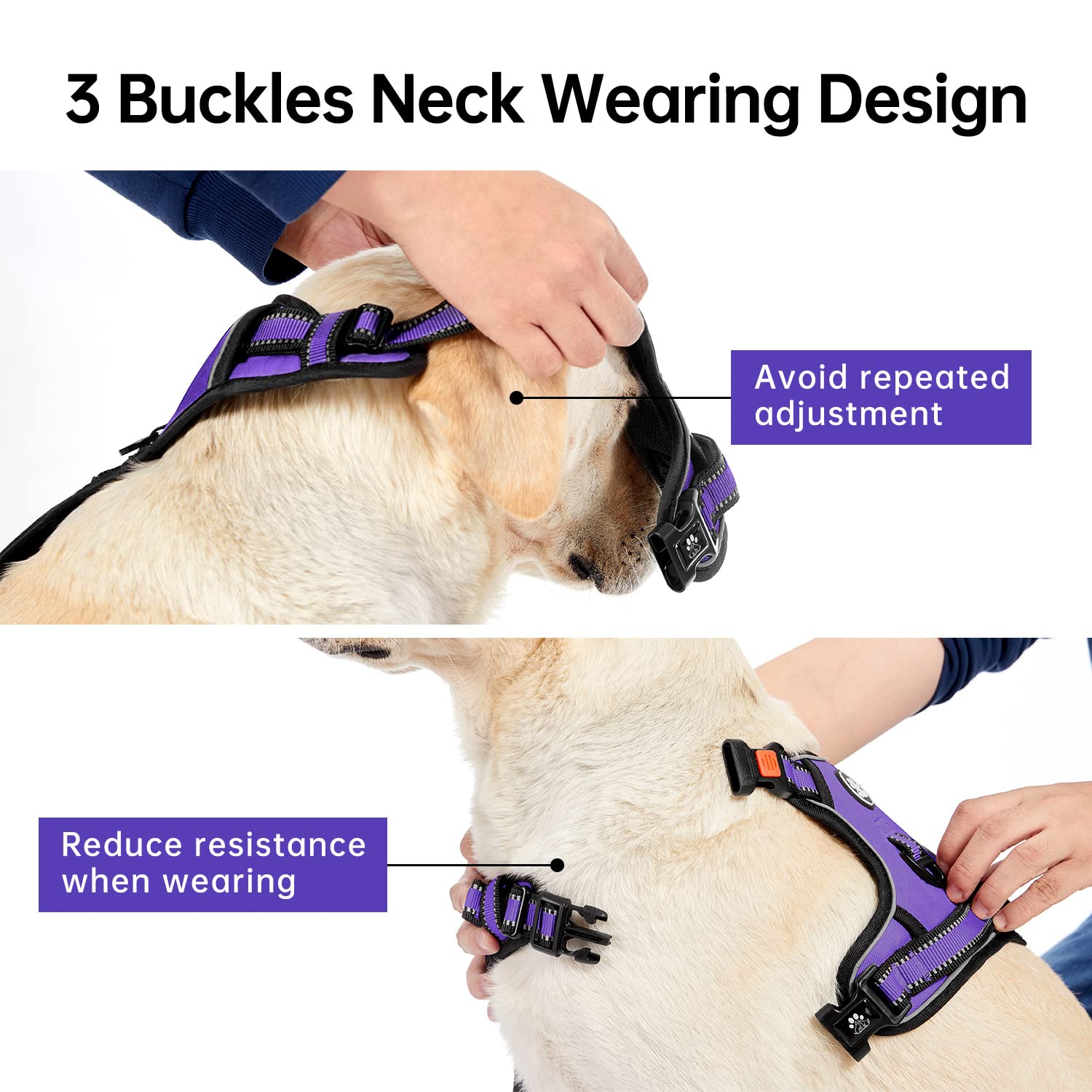 IVY&LANE dog harness detail showing the neck-side buckles.