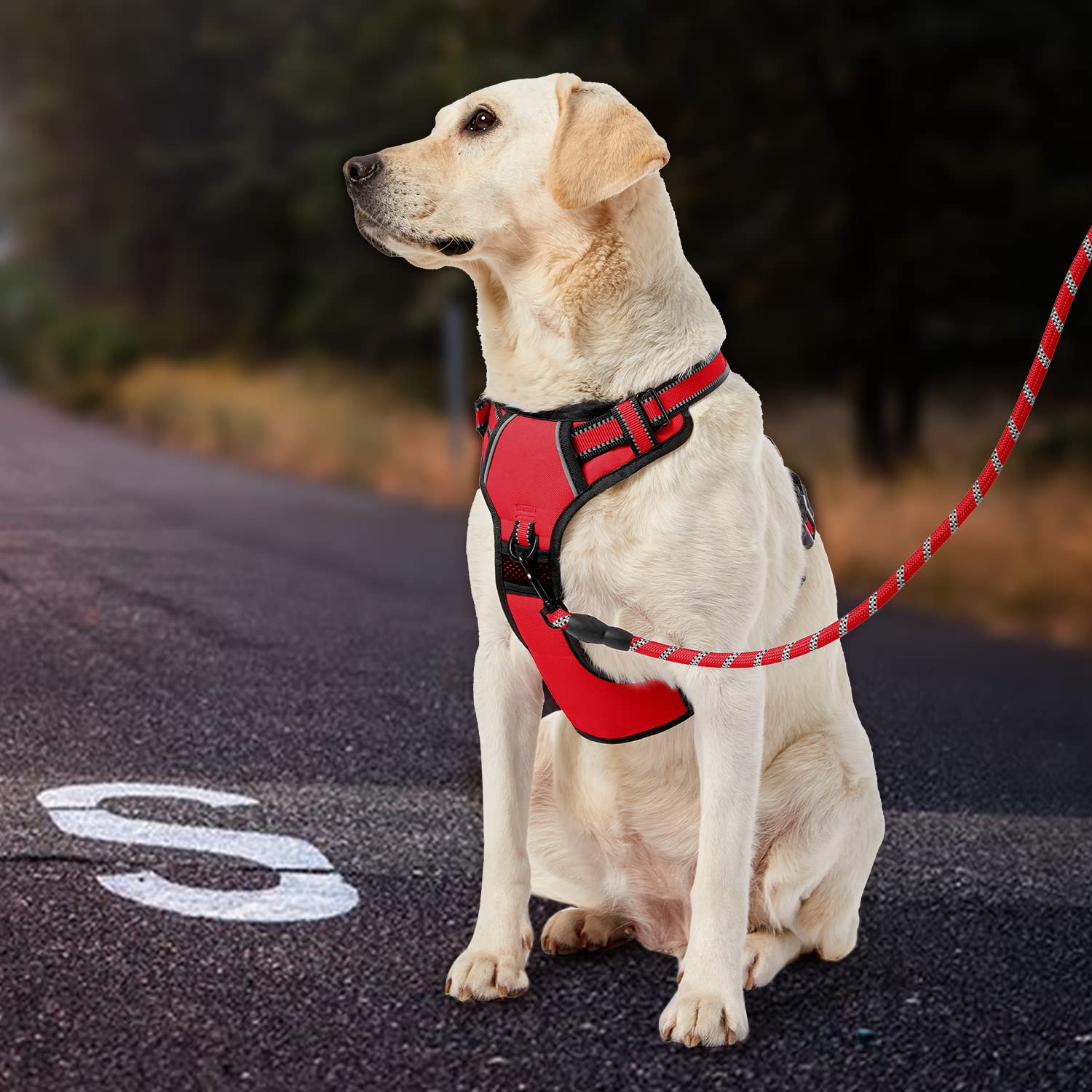 IVY&LANE No Pull Dog Harness set with leash, retractable seatbelt, and storage strap.