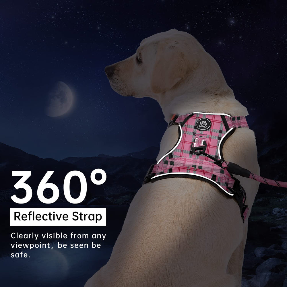 IVY&LANE dog leash with cushioning cotton at the grip.