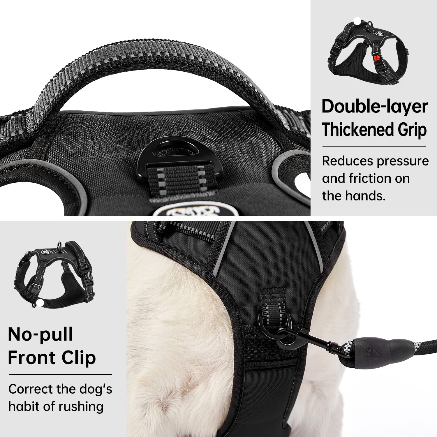 IVY&LANE dog harness set with leash, retractable seatbelt and storage strap.